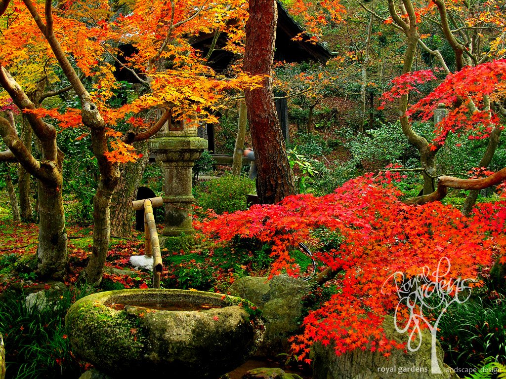 Японский Сад Осенью Фото